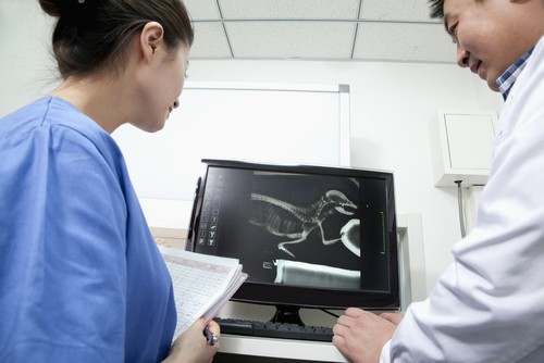 Advanced Digital X-rays Malverne, NY