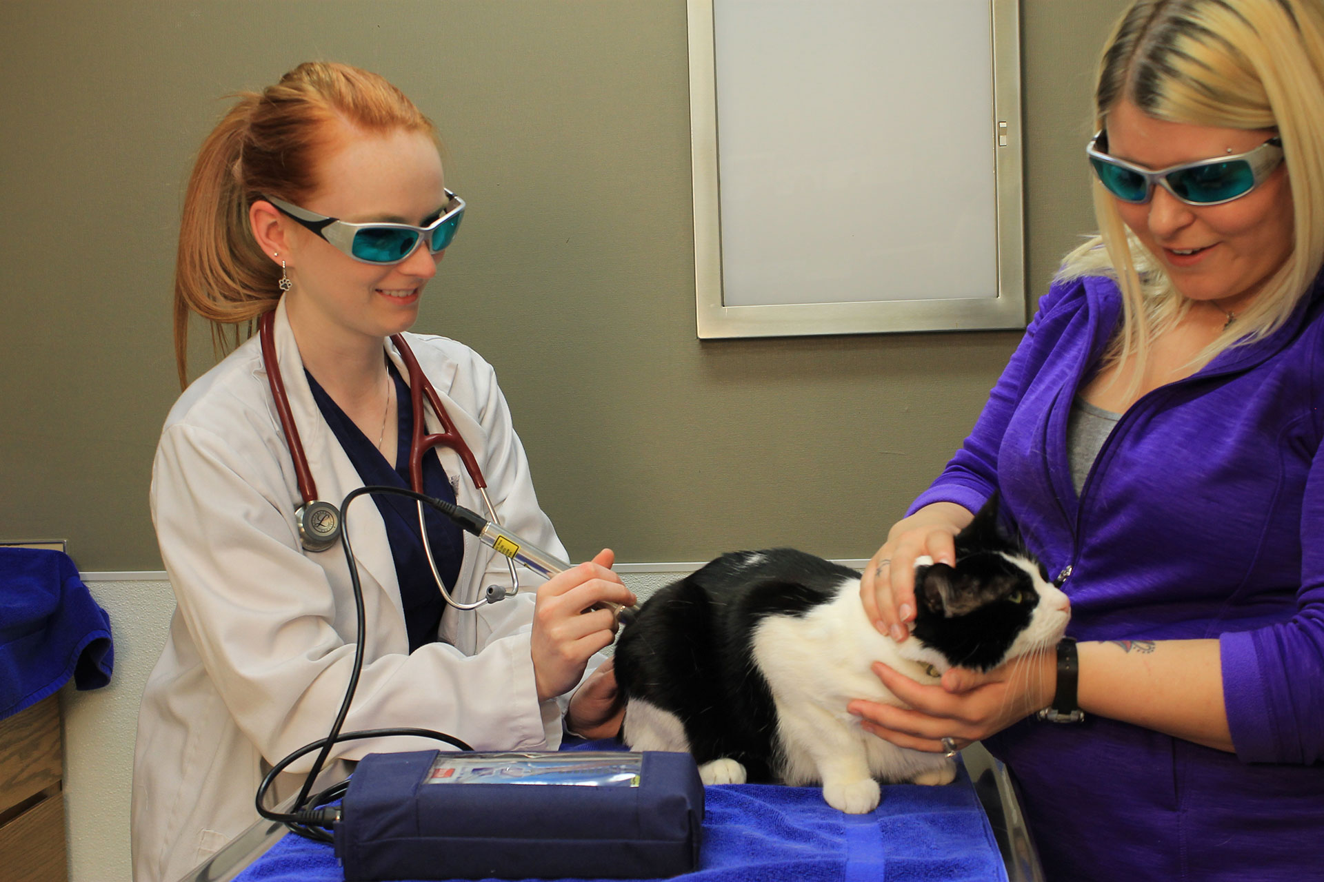 Laser Therapy Malverne, NY