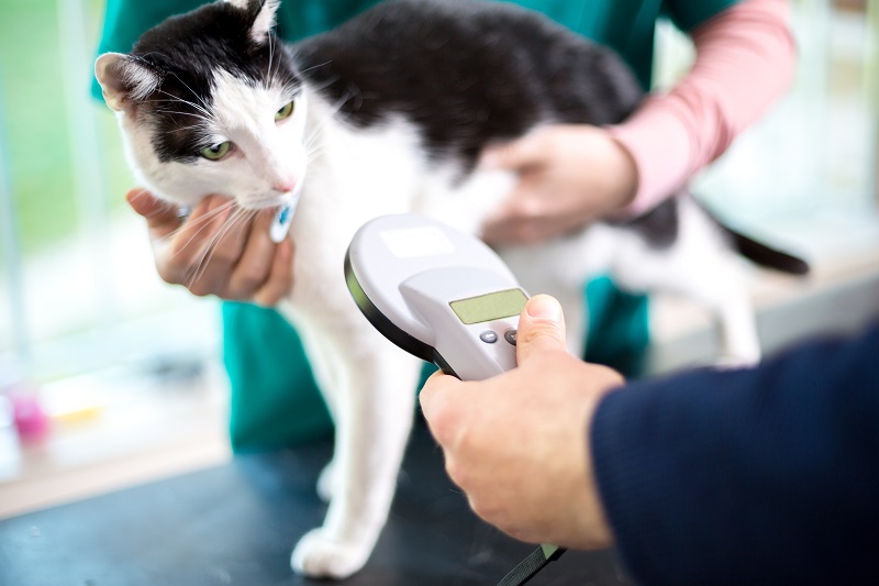 Microchipping Malverne, NY