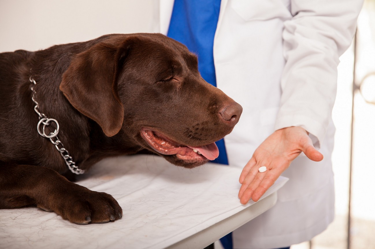 Preventative Care Malverne, NY