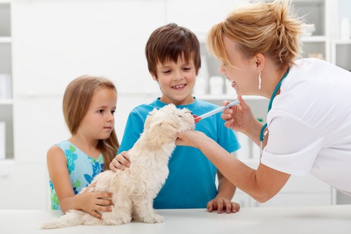 Vaccinations Malverne, NY