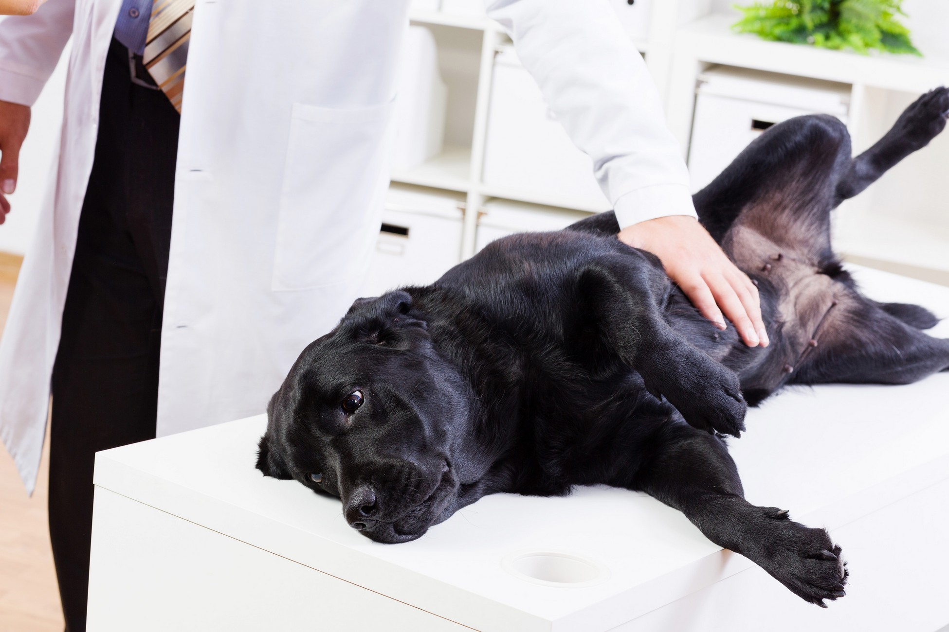 Wellness Exams Malverne, NY
